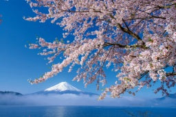 【ECテスト】画像素材