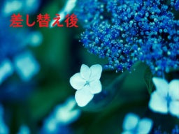 テスト