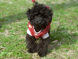 EC掲出20251218_003